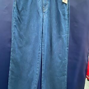 Hudson Jeans Men's Straight Denim